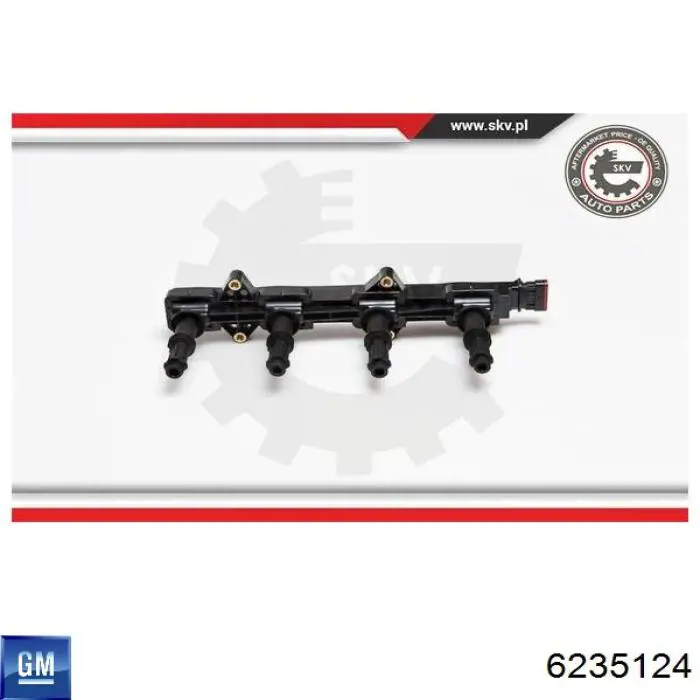 6235124 General Motors Bobina de ignição
