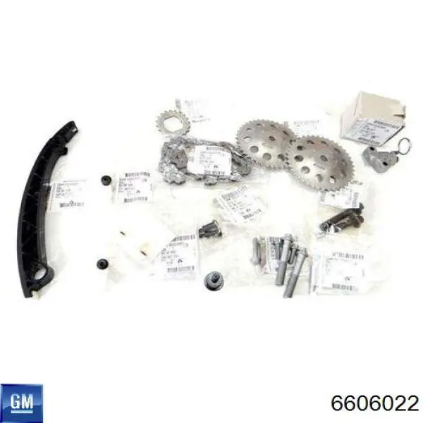 6606022 General Motors Cadeia do mecanismo de distribuição de gás, kit