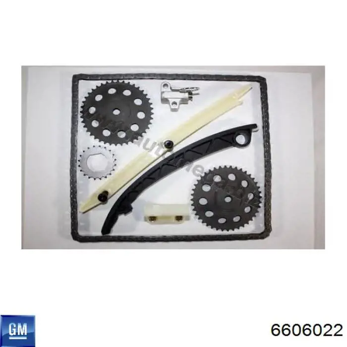 Cadeia do mecanismo de distribuição de gás, kit 6606022 General Motors