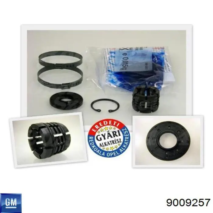 9009257 General Motors Kit de reparação da cremalheira da direção (do mecanismo), (kit de vedantes)