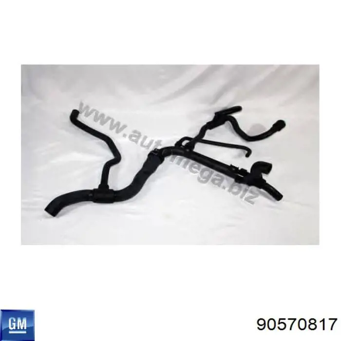Compre 90570817 General Motors Mangueira (cano derivado) inferior do radiador de esfriamento