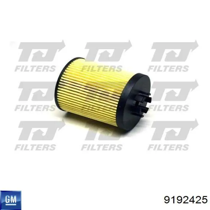 Compre 9192425 General Motors Filtro de óleo