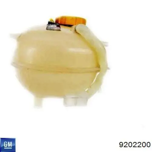9202200 General Motors Tanque de expansão do sistema de esfriamento