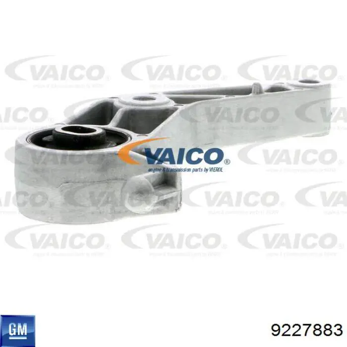 Consola de coxim (apoio) traseira de motor 9227883 General Motors