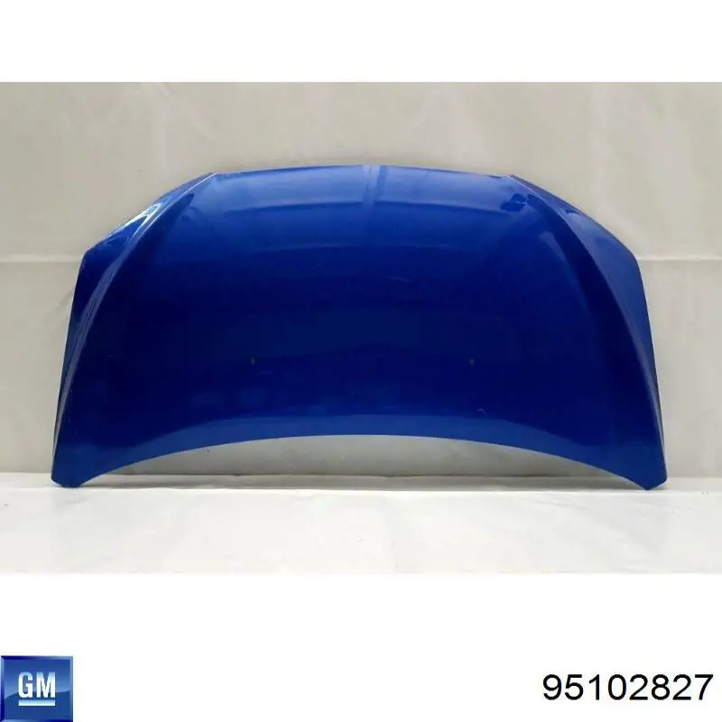 Compre 95102827 General Motors Capota