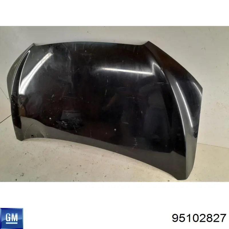 95102827 General Motors Capota