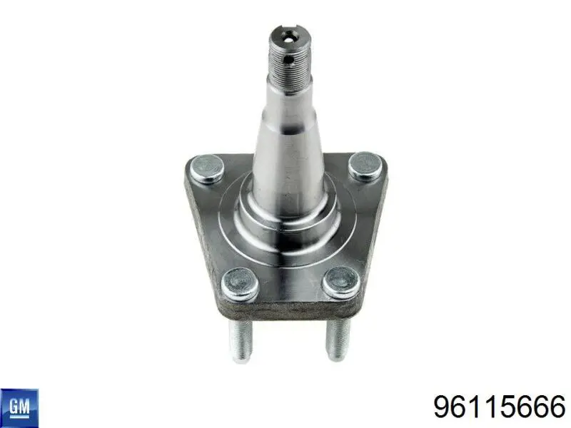 Compre EX5666R Euroex Pino moente (extremidade do eixo) traseiro