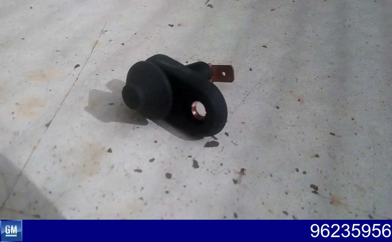 Compre 96235956 General Motors Sensor de fechamento de portas (interruptor de fim de carreira)