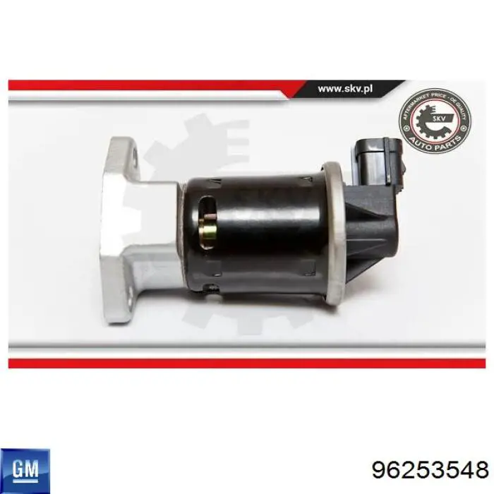 Compre 96253548 General Motors Válvula EGR de recirculação dos gases