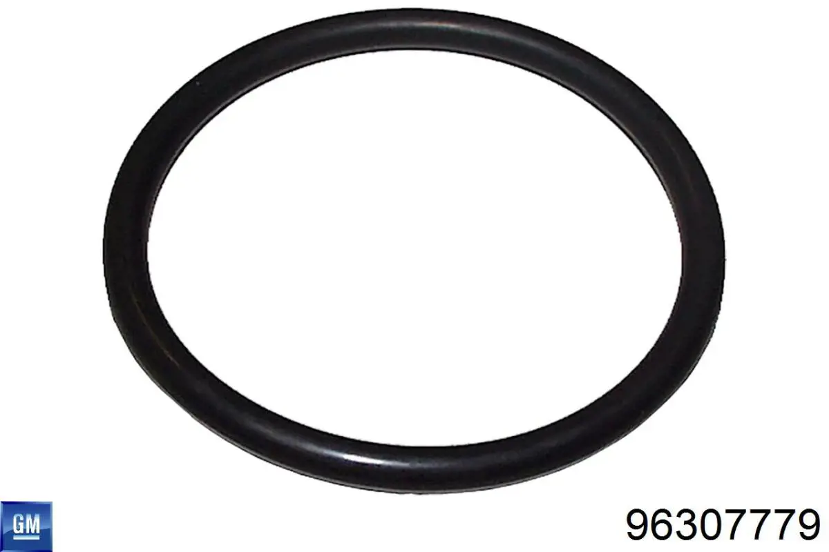 Vedante de termostato para Chevrolet Captiva I C100