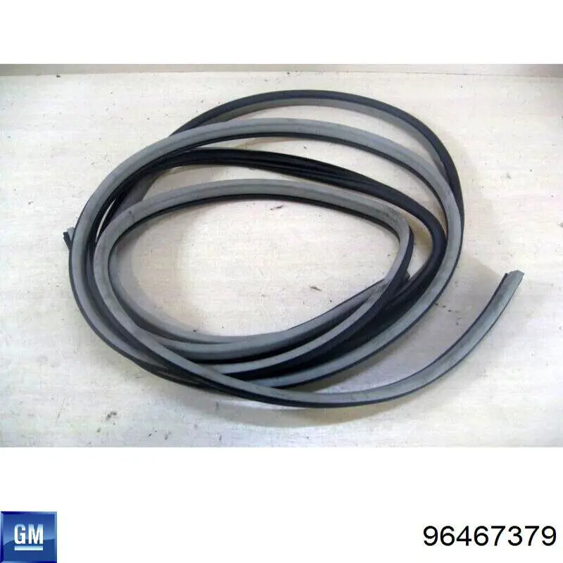 96467379 General Motors Compactador da porta dianteira (na carroçaria)