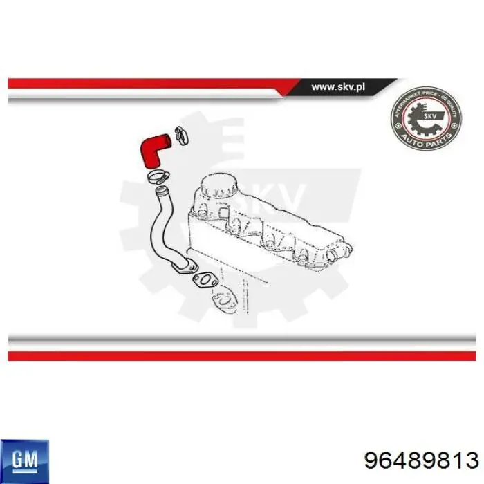 Compre 96489813 General Motors Cano derivado de ventilação de cárter (de separador de óleo)