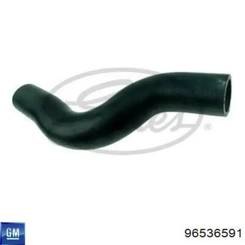 Mangueira (cano derivado) do radiador de esfriamento superior General Motors 96536591 preço, a partir de 6,94 USD