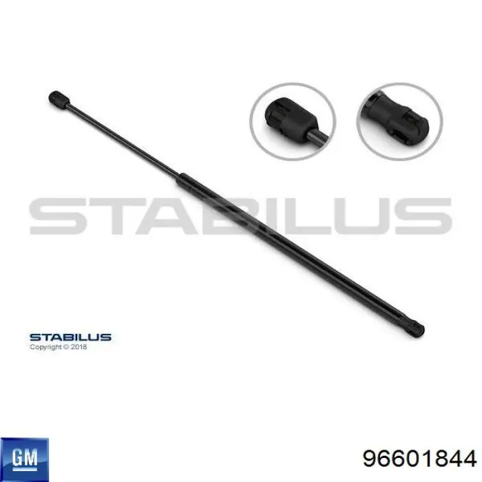 Amortecedor de tampa de porta-malas (de 3ª/5ª porta traseira) General Motors 96518910 preço, a partir de 14,06 USD