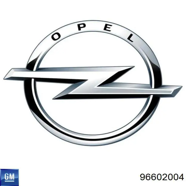 96602004 General Motors Capota