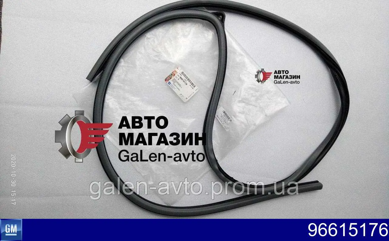 96615176 General Motors Compactador da porta dianteira esquerda (na carroçaria)