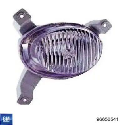 Luzes de nevoeiro direitas 2352001RAE Depo/Loro/Abakus