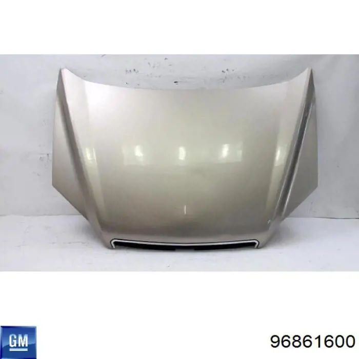 96861600 General Motors Capota