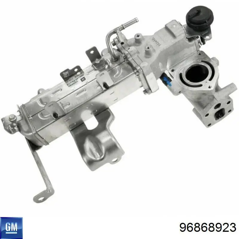 Válvula EGR de recirculação dos gases 4802055 General Motors