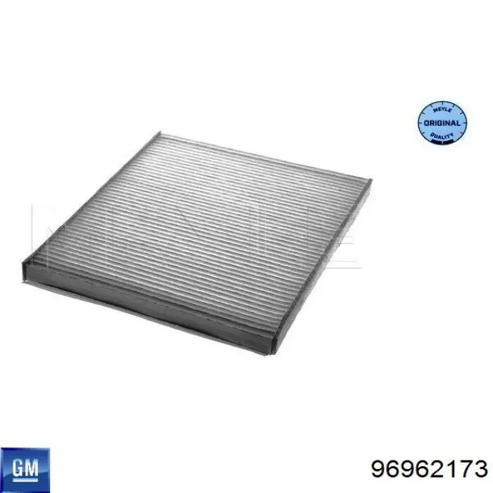 Compre 96962173 General Motors Filtro de salão