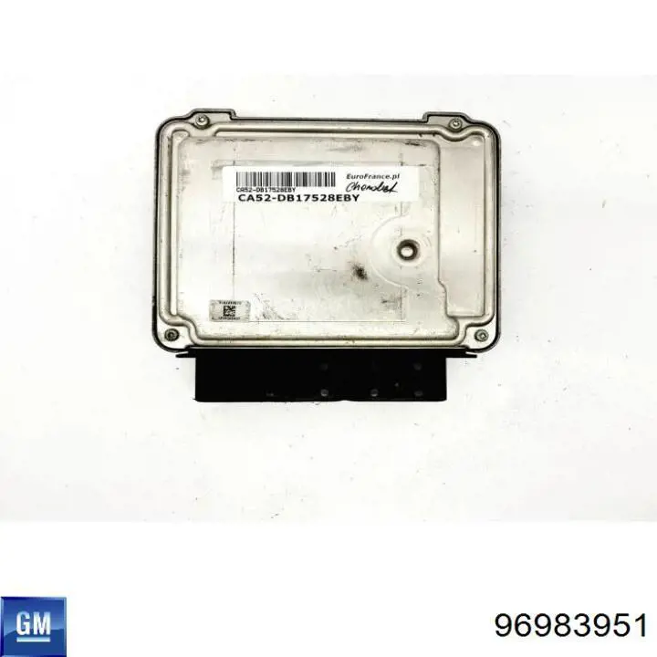  General Motors 96983951