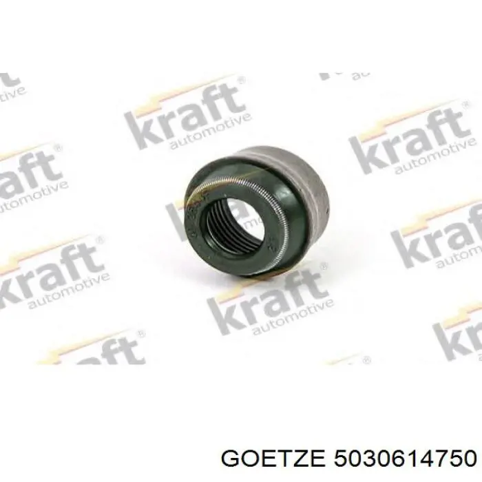  Goetze 5030614750