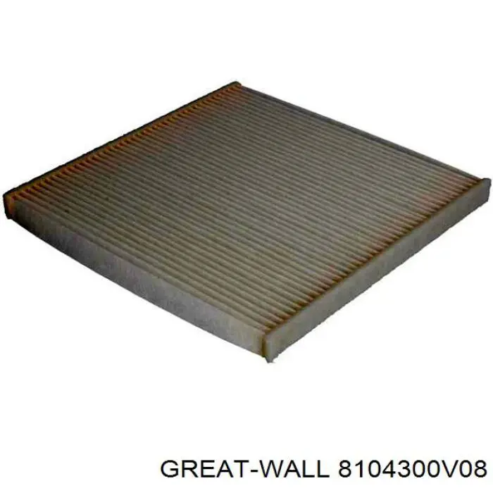 8104300V08 Great Wall Filtro de salão