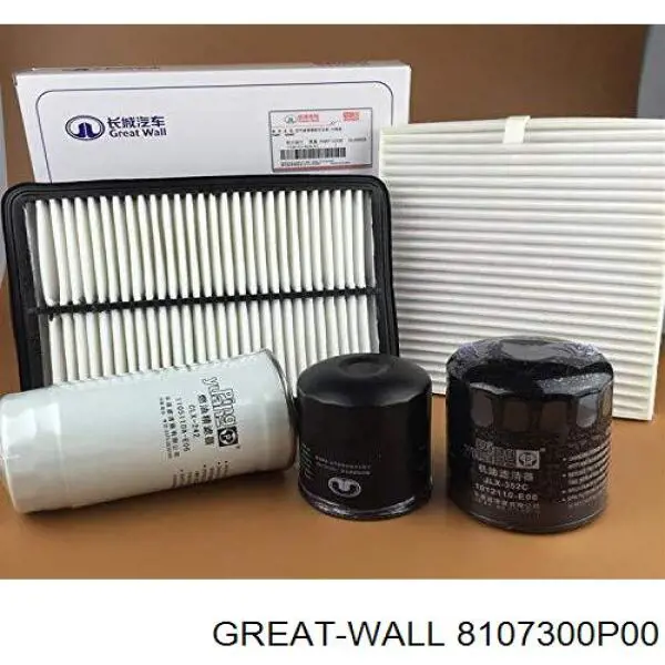 Compre 8107300P00 Great Wall Filtro de salão