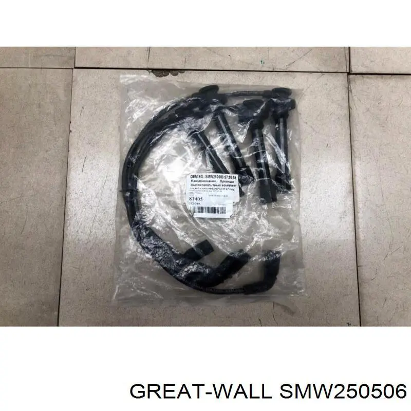 Compre SMW250506789 Great Wall Fios de alta voltagem, kit