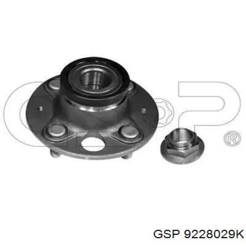 9228029K GSP Cubo traseiro
