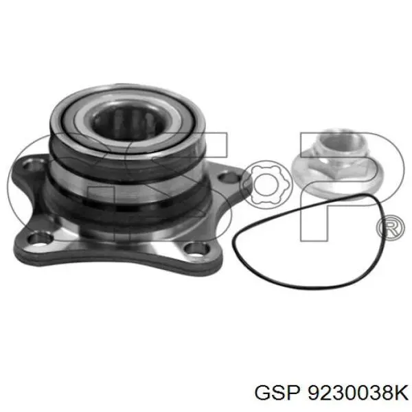 9230038K GSP Cubo traseiro