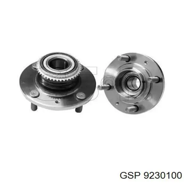 9230100 GSP Cubo traseiro
