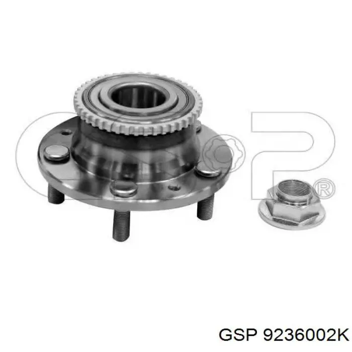Compre 9236002K GSP Cubo traseiro