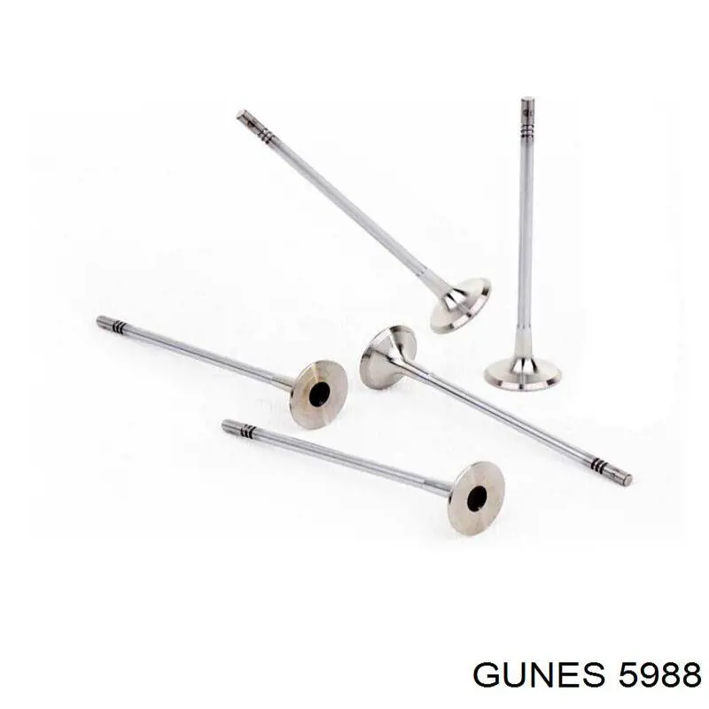 Compre 5988 Gunes Válvula de escape