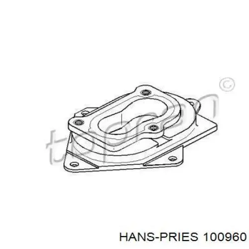 100960 Hans Pries (Topran) Flange de carburador