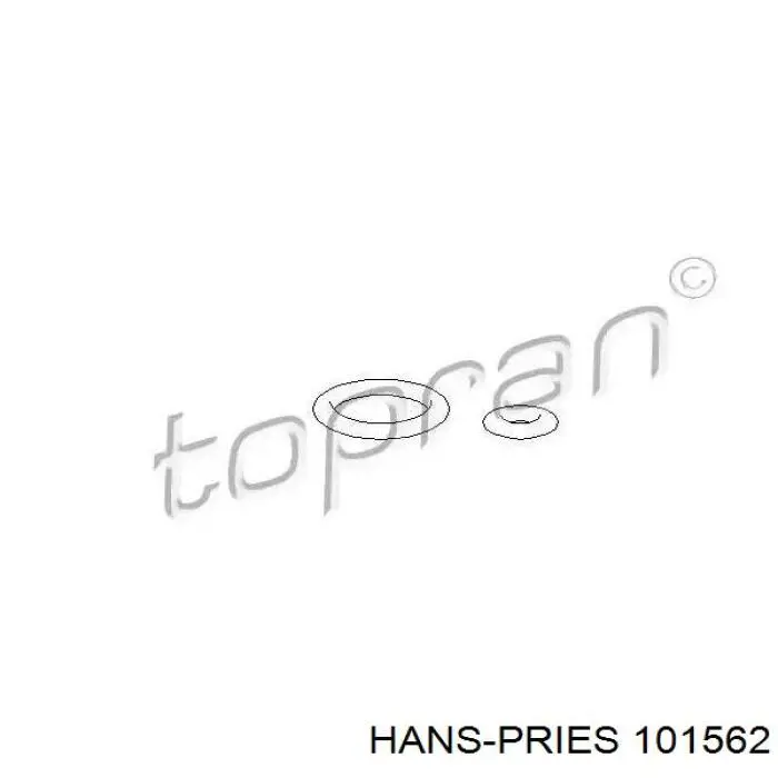 101562 Hans Pries (Topran) Anel (arruela) do injetor de ajuste