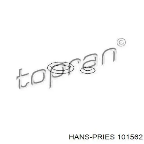 Compre 101562 Hans Pries (Topran) Anel (arruela) do injetor de ajuste
