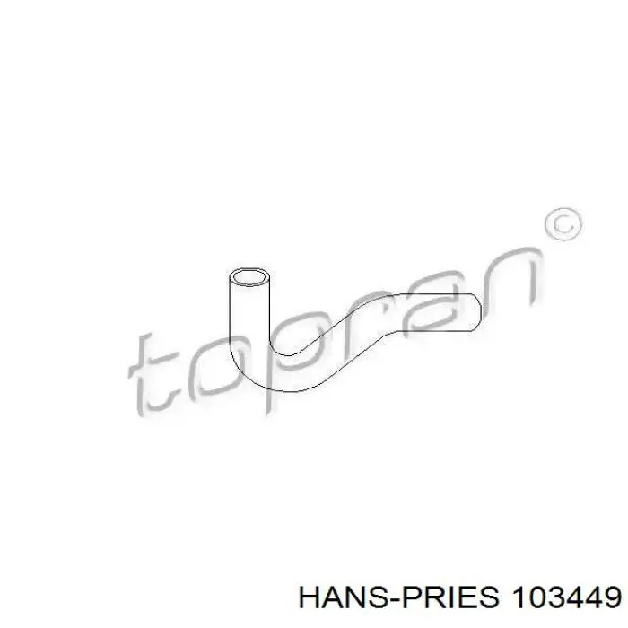 103449 Hans Pries (Topran) Mangueira (cano derivado) inferior do radiador de esfriamento