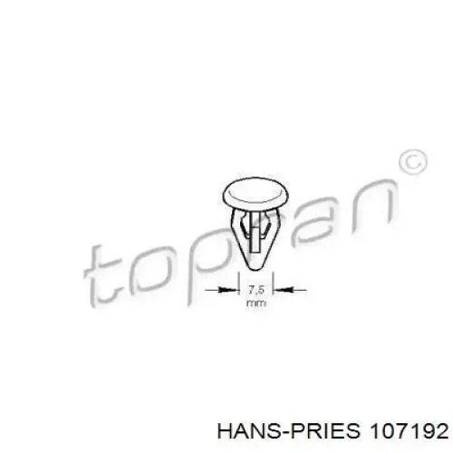 Compre 801867299 VAG 