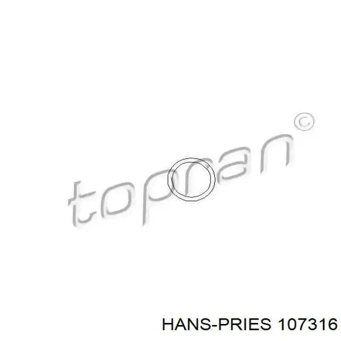 107316 Hans Pries (Topran) Anel (arruela) do injetor de ajuste
