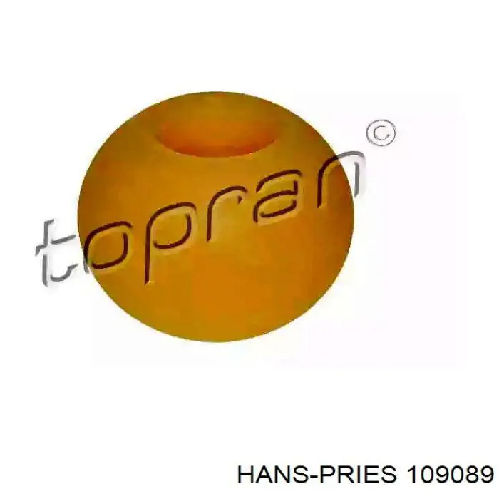 109089 Hans Pries (Topran) Kit de reparação de ligação de mudança