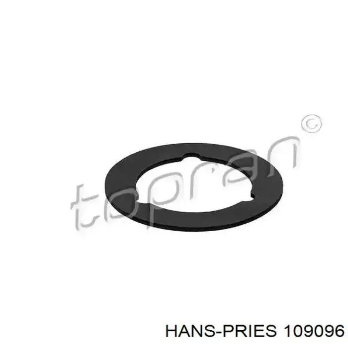 Compre 109096 Hans Pries (Topran) Vedante de tampa do gargalho de enchimento de óleo