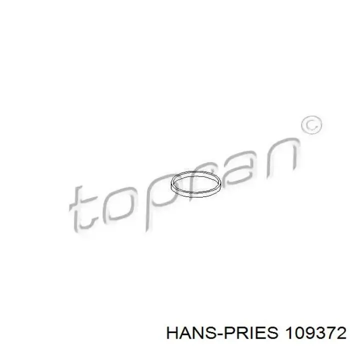 109372 Hans Pries (Topran) Vedante de tubo coletor de admissão