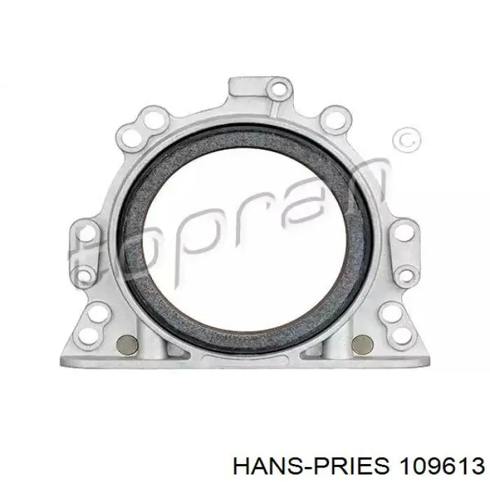 109613 Hans Pries (Topran) Vedação traseira de cambota de motor