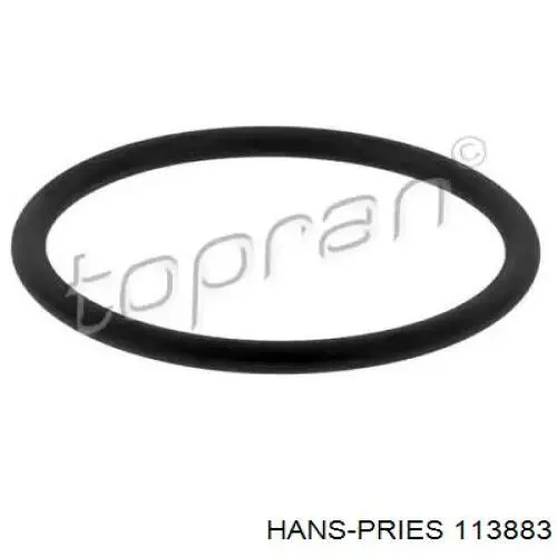 Vedante medidor de consumo até o filtro de ar Hans Pries (Topran) 113883 preço, a partir de 2,31 USD