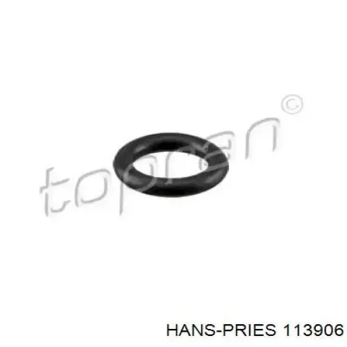 Compre 113906 Hans Pries (Topran) Vedante anular de mangueira de embraiagem