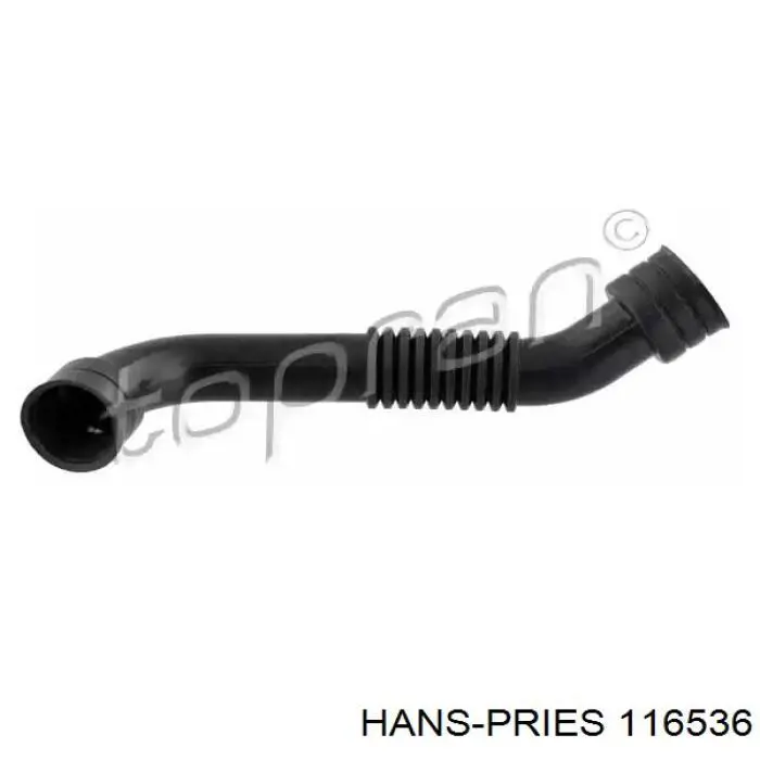 Cano derivado de ventilação de cárter (de separador de óleo) VAG 038103493S preço, a partir de 18,55 USD