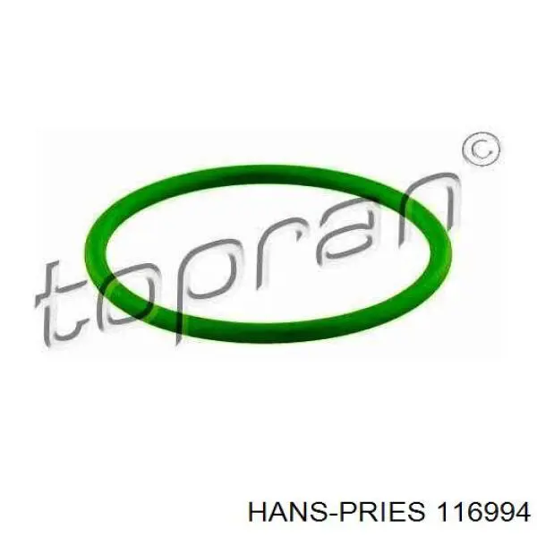 15402RL0G01 Honda Vedante anular de tampa dianteira CBC
