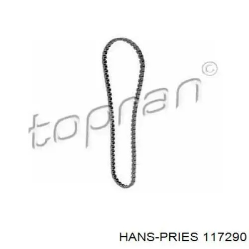 117290 Hans Pries (Topran) Cadeia do mecanismo de distribuição de gás