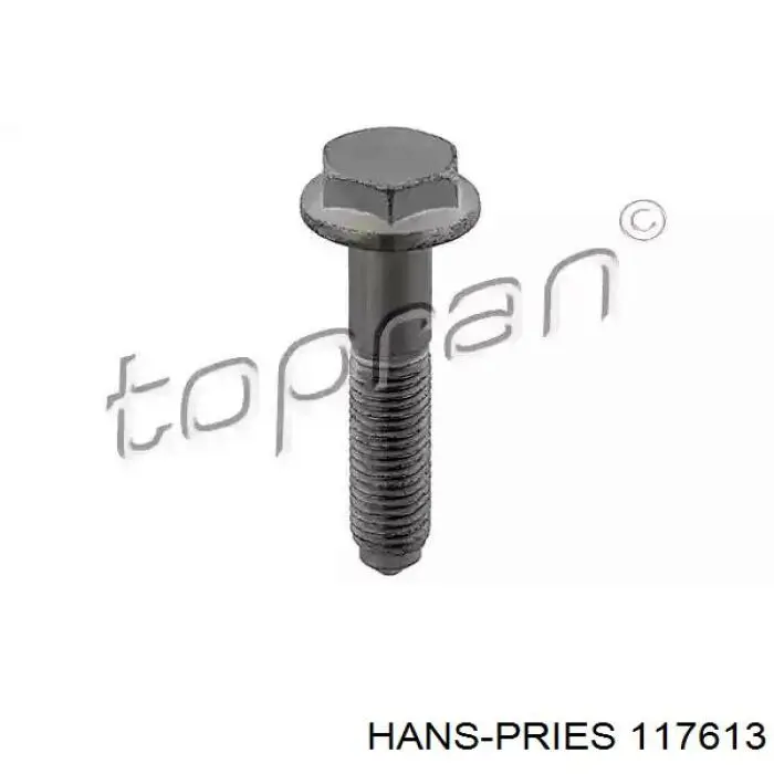 Compre 117613 Hans Pries (Topran) Parafuso